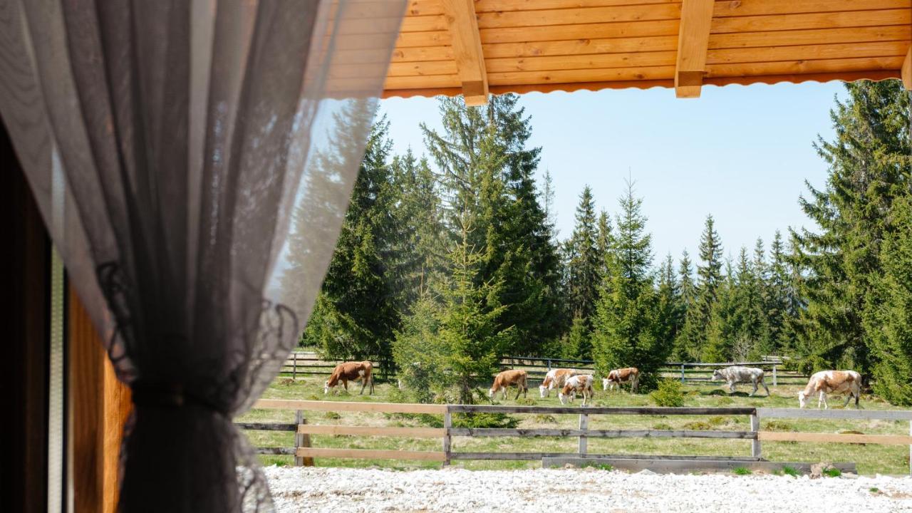 Casa Din Deal Mărişel Exterior foto